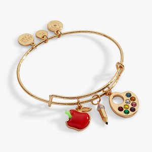 'Teacher's Pet' Multi Charm Textured Bangle